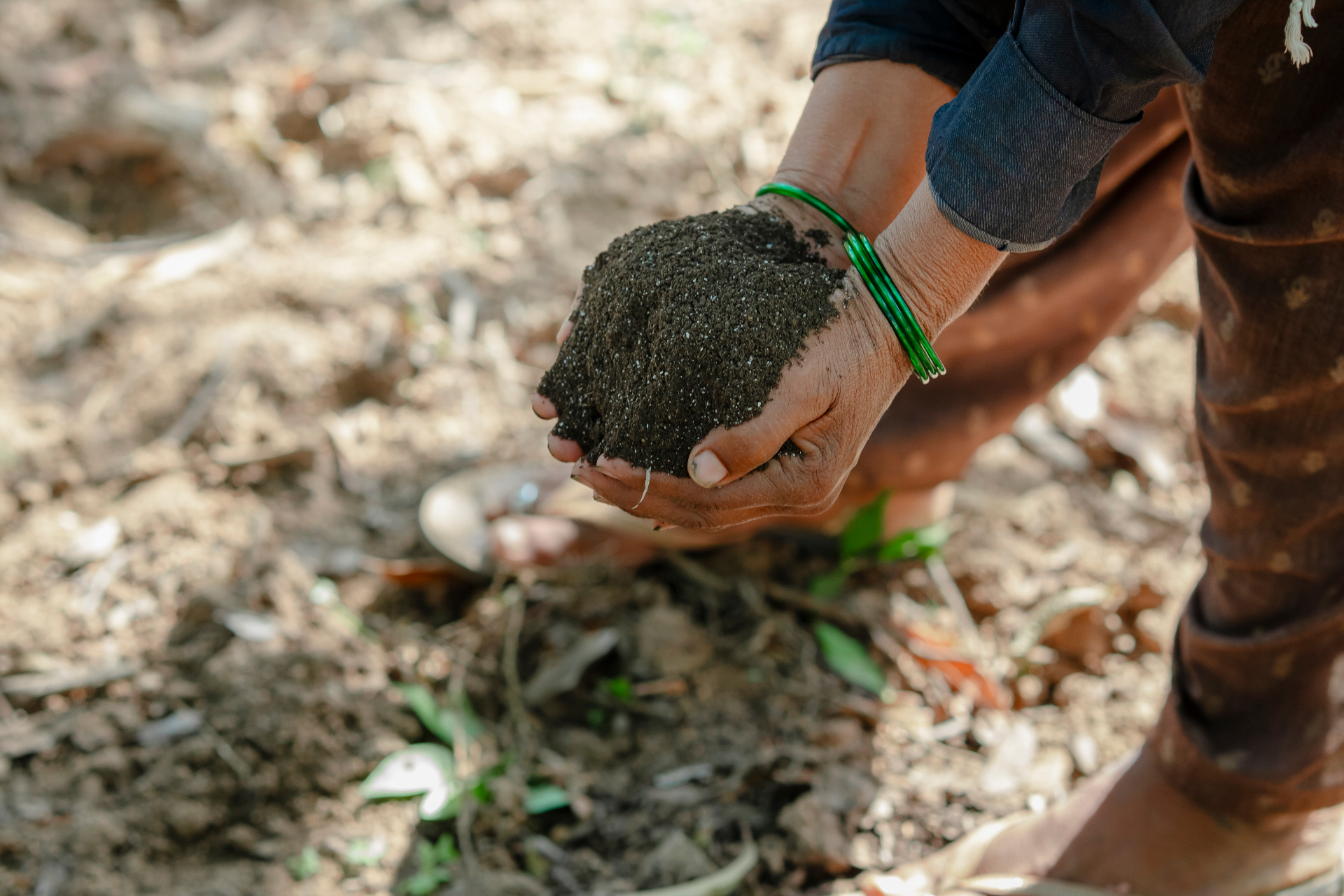 Organic soil in hands