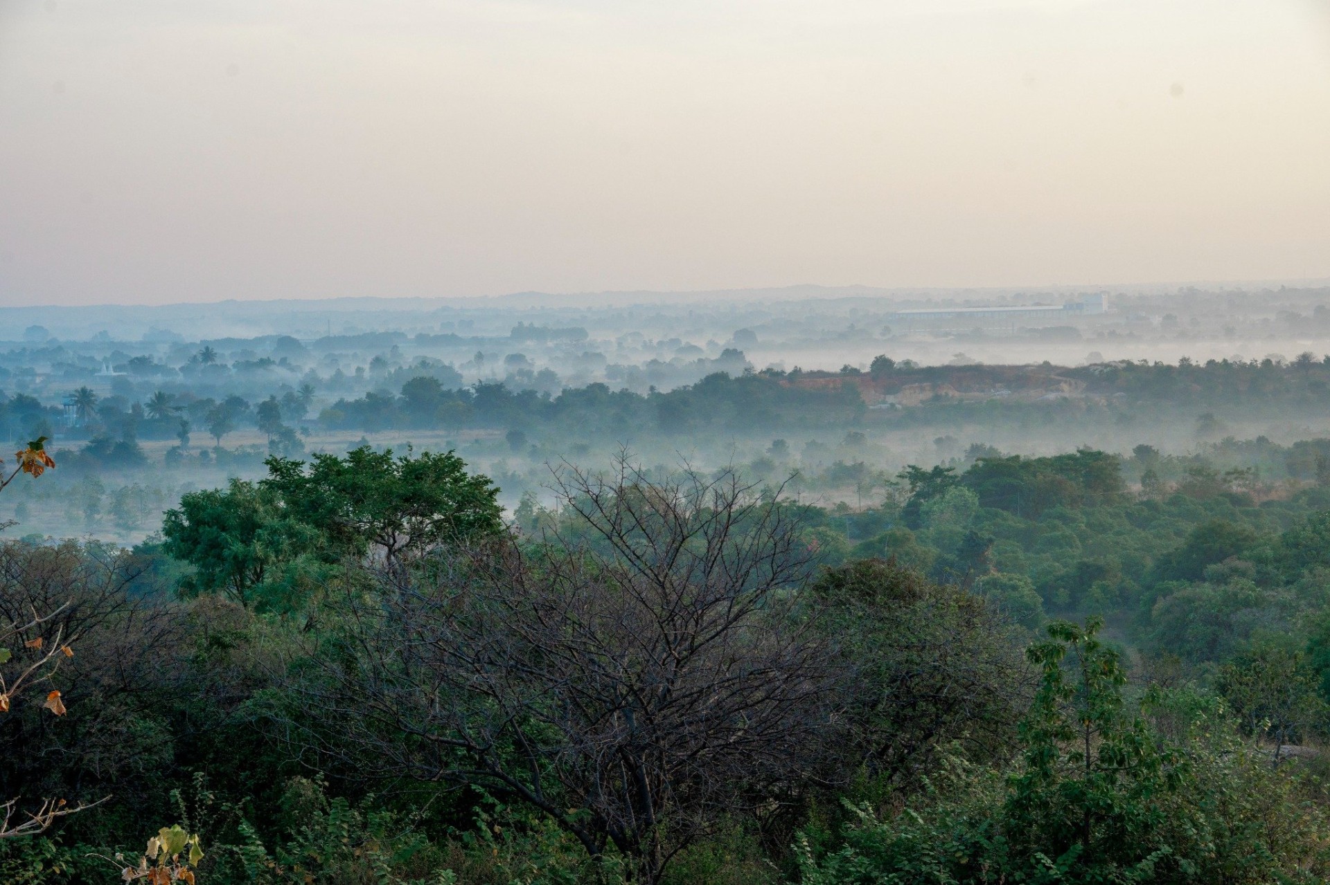 Misty morning landscape