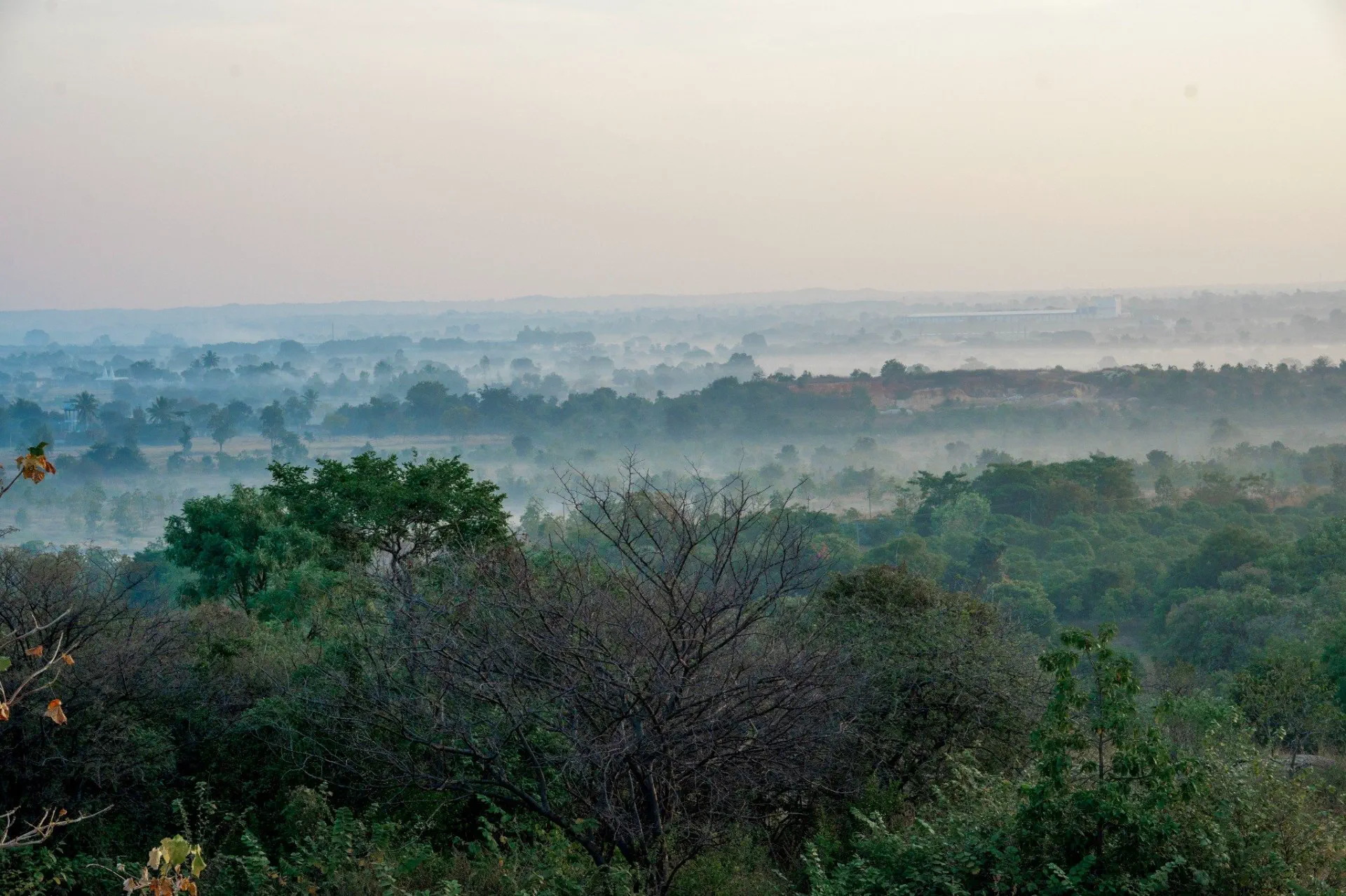 Misty morning landscape