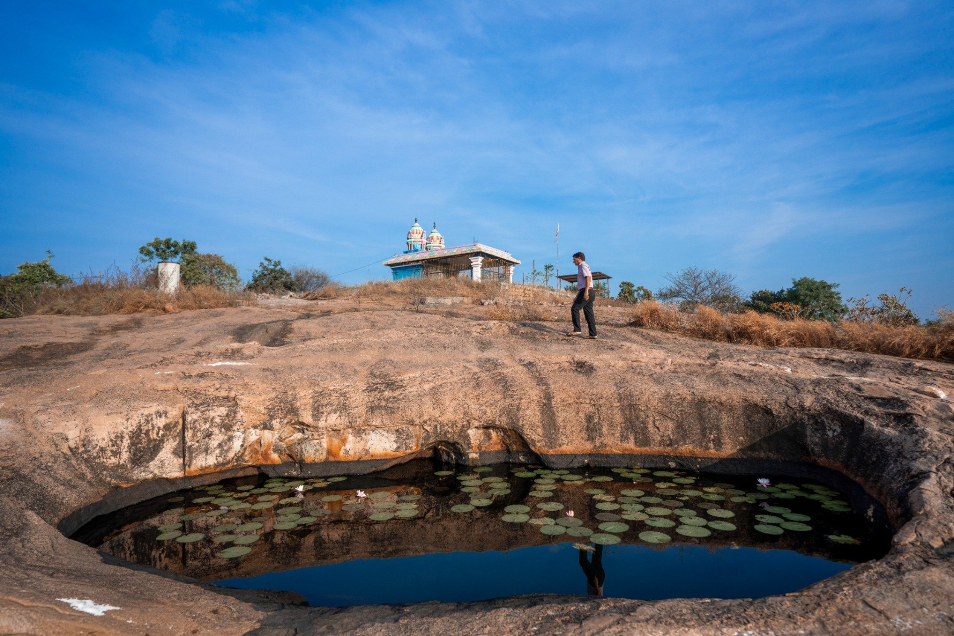 Temple with lotus pond