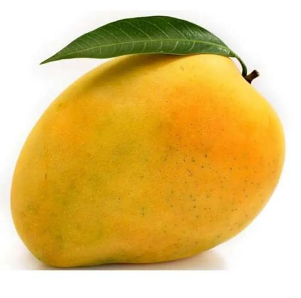 Banganapalli Mango