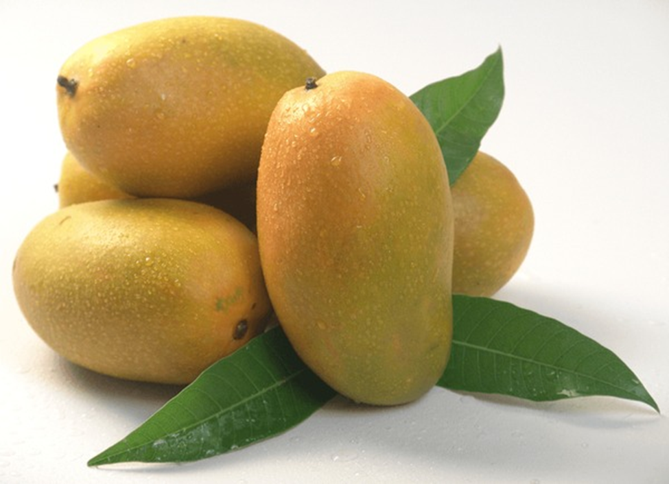 Dasehri Mango